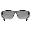 Uvex  Equate Black Matt / Smoke (S5330822216) Sportszemüveg