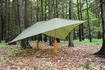 Warmpeace  Shelter Ponyva