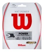 Wilson  NXT Power  Teniszütő húrozása