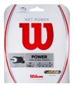 Wilson  NXT Power  Teniszütő húrozása