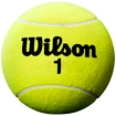 Wilson  Roland Garros 5" Mini Jumbo Yellow  Teniszlabda