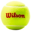 Wilson Roland Garros narancssárga teniszlabda (3 db)