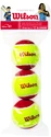 Wilson  Starter Red (3 Pack)  Gyerekteniszlabda