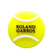 Wilson  Tennis Ball 2 Pack Dampener Roland Garros Yellow/Black Rezgéscsillapító