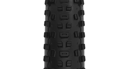 WTB  Ranger 2.4x29" TCS Light/Fast Rolling SG2  Külső