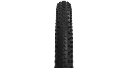 WTB  Ranger 2.4x29" TCS Light/Fast Rolling SG2  Külső